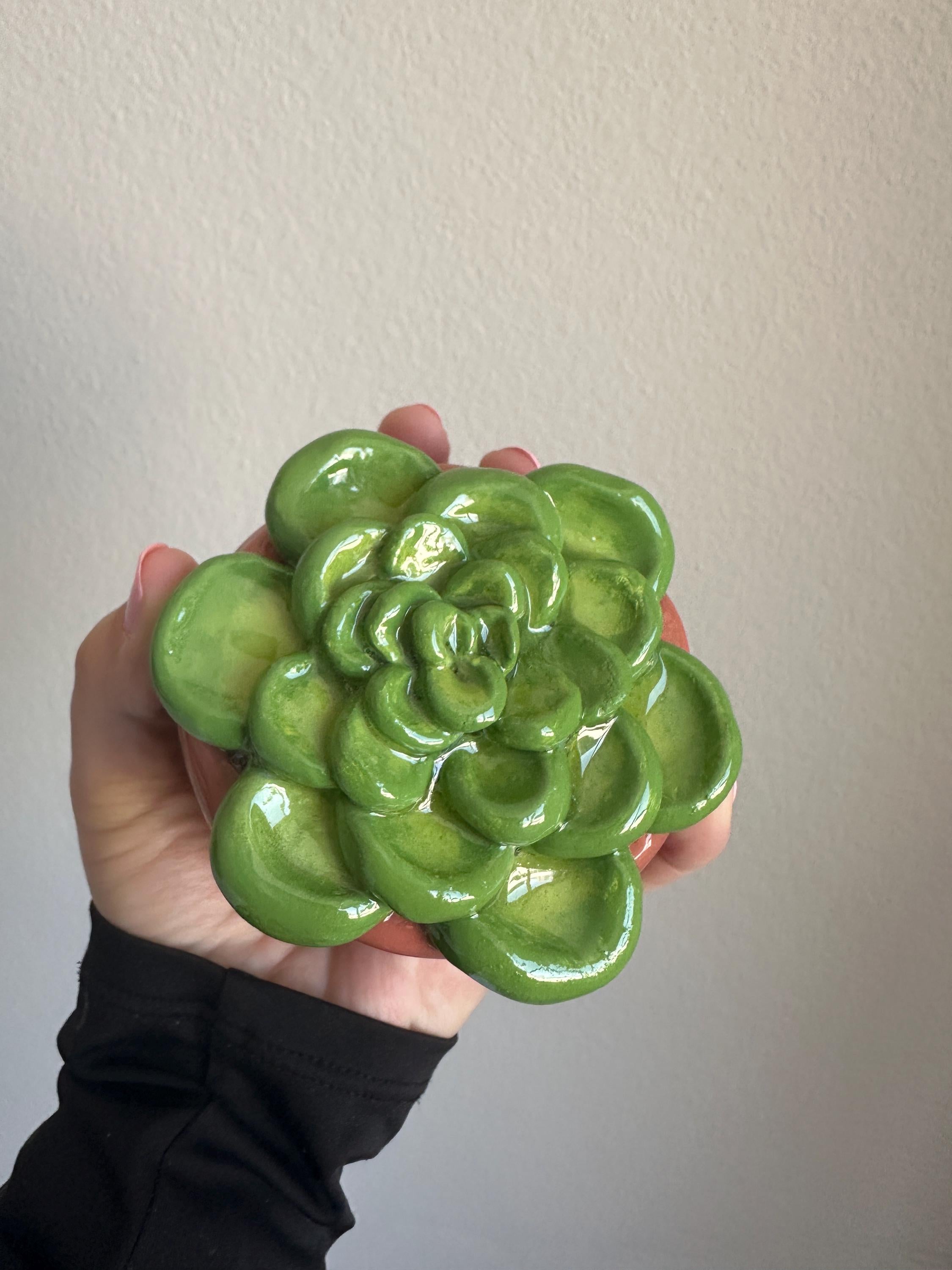 Succulent Ashtray