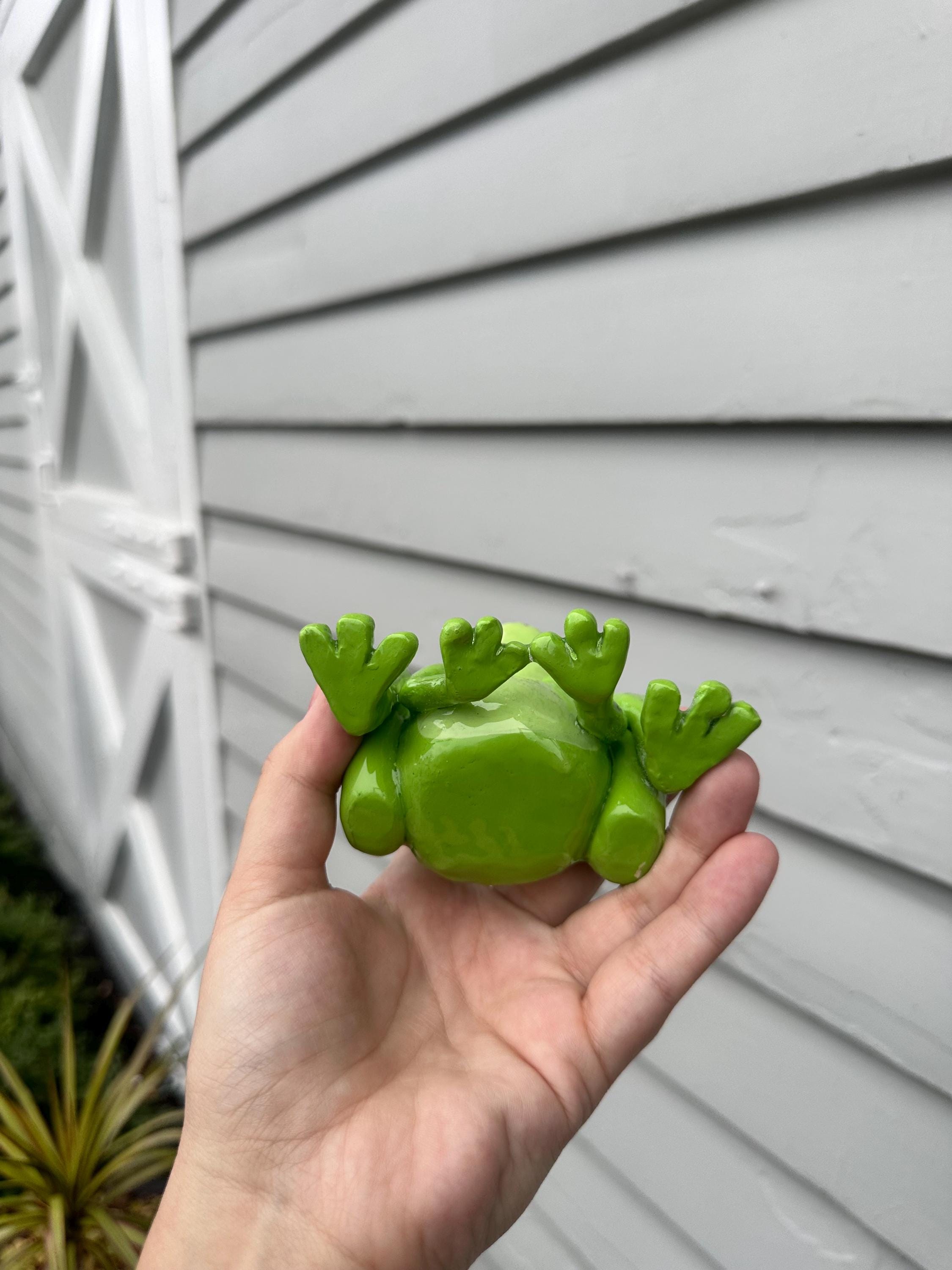 Frog Glasses Holder