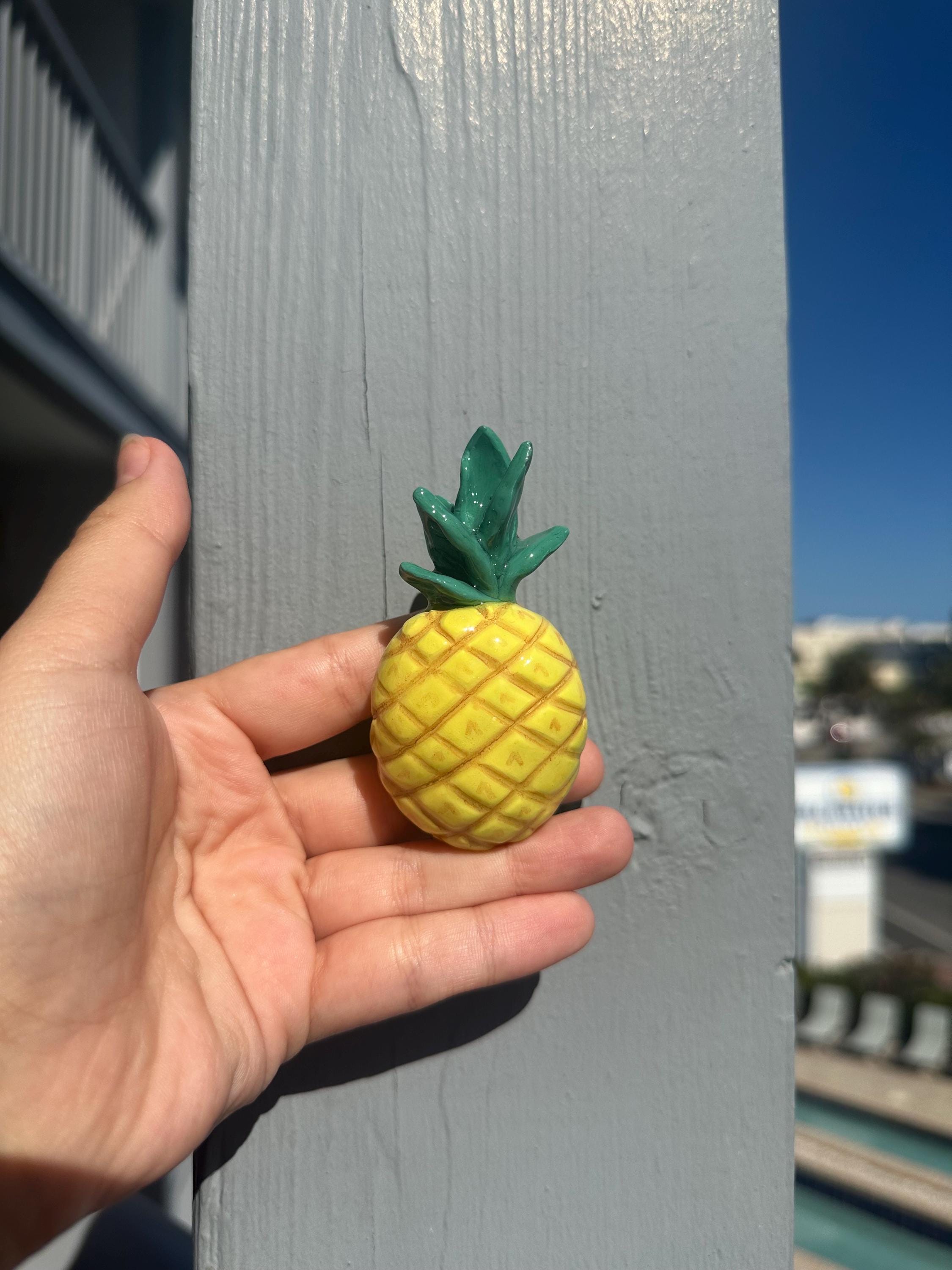 Fruit&Veggie Knobs