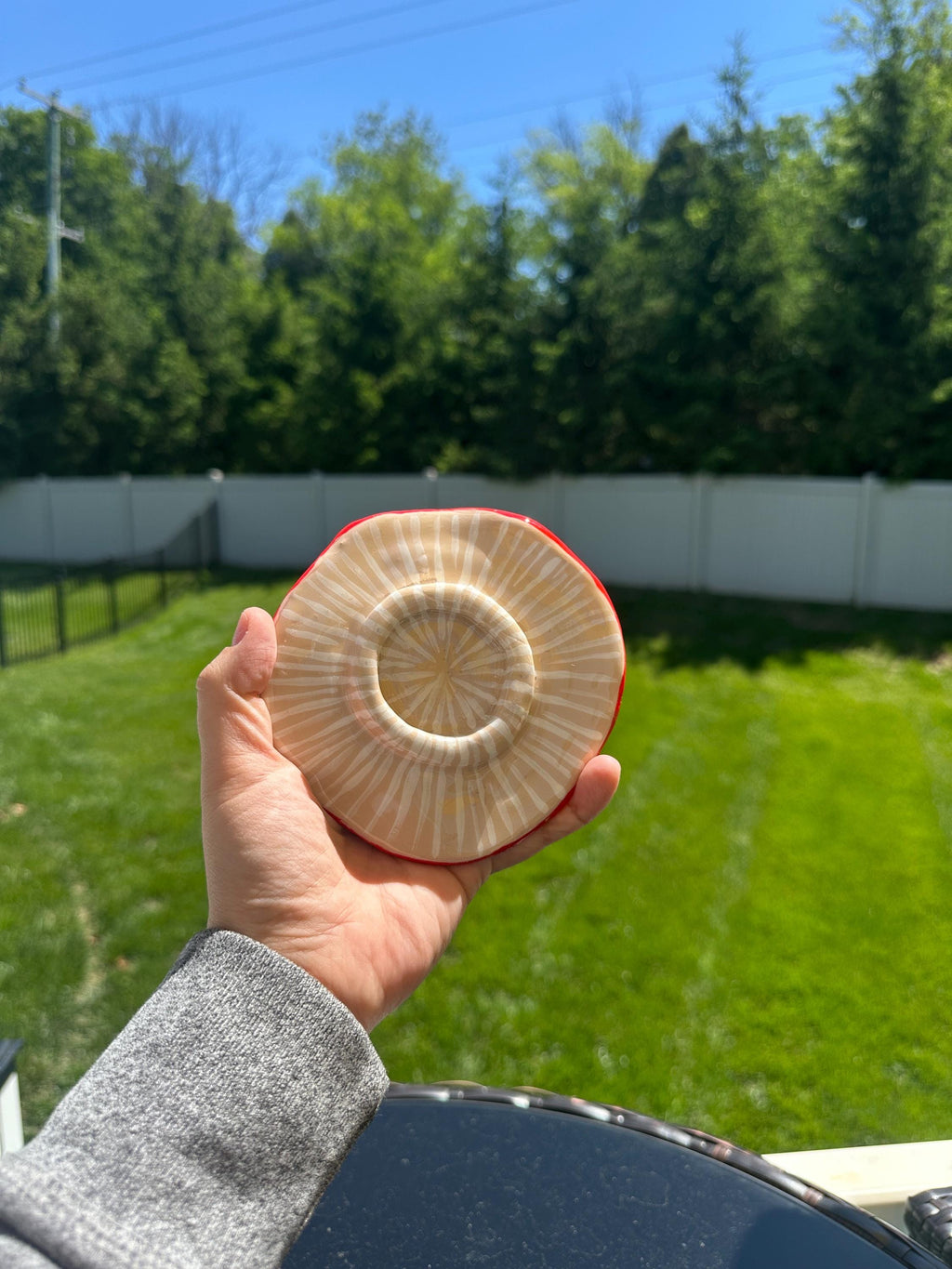 Mushroom Ashtray