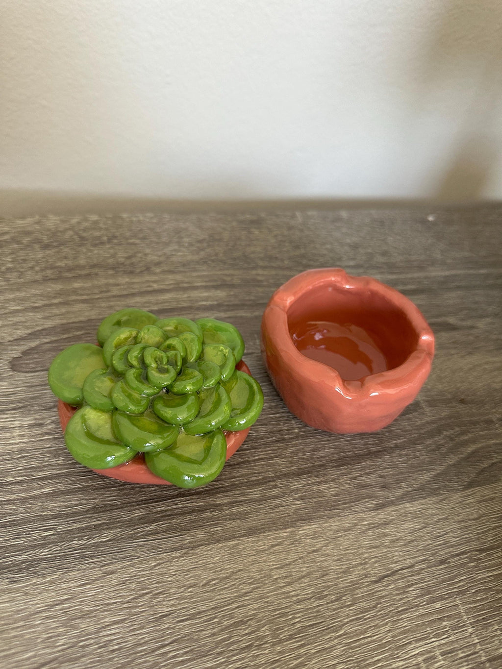 Succulent Ashtray