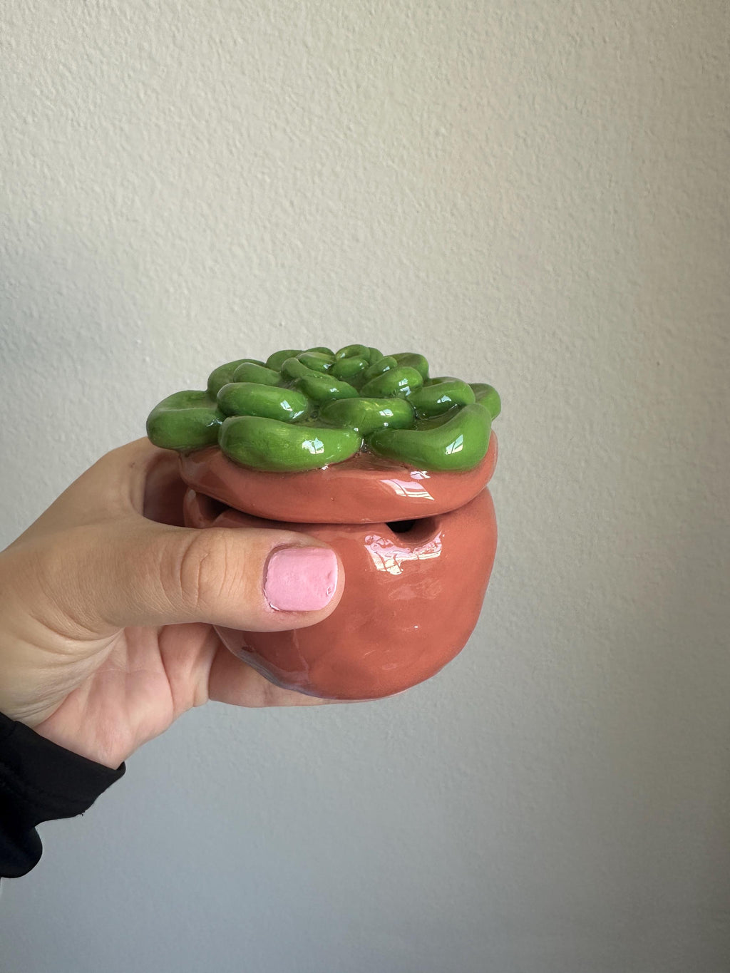 Succulent Ashtray