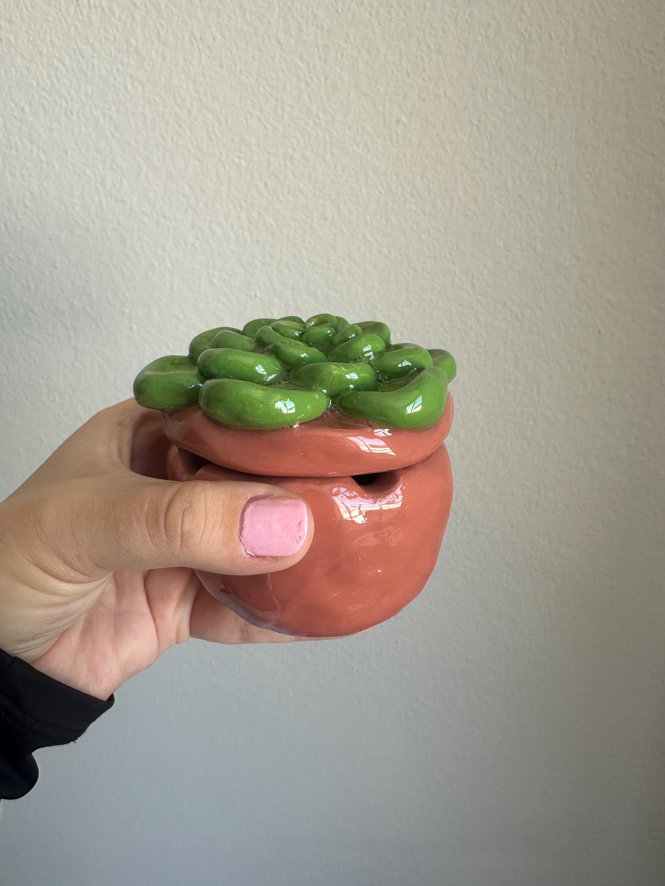 Succulent Ashtray