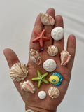 Ocean Magnet Set