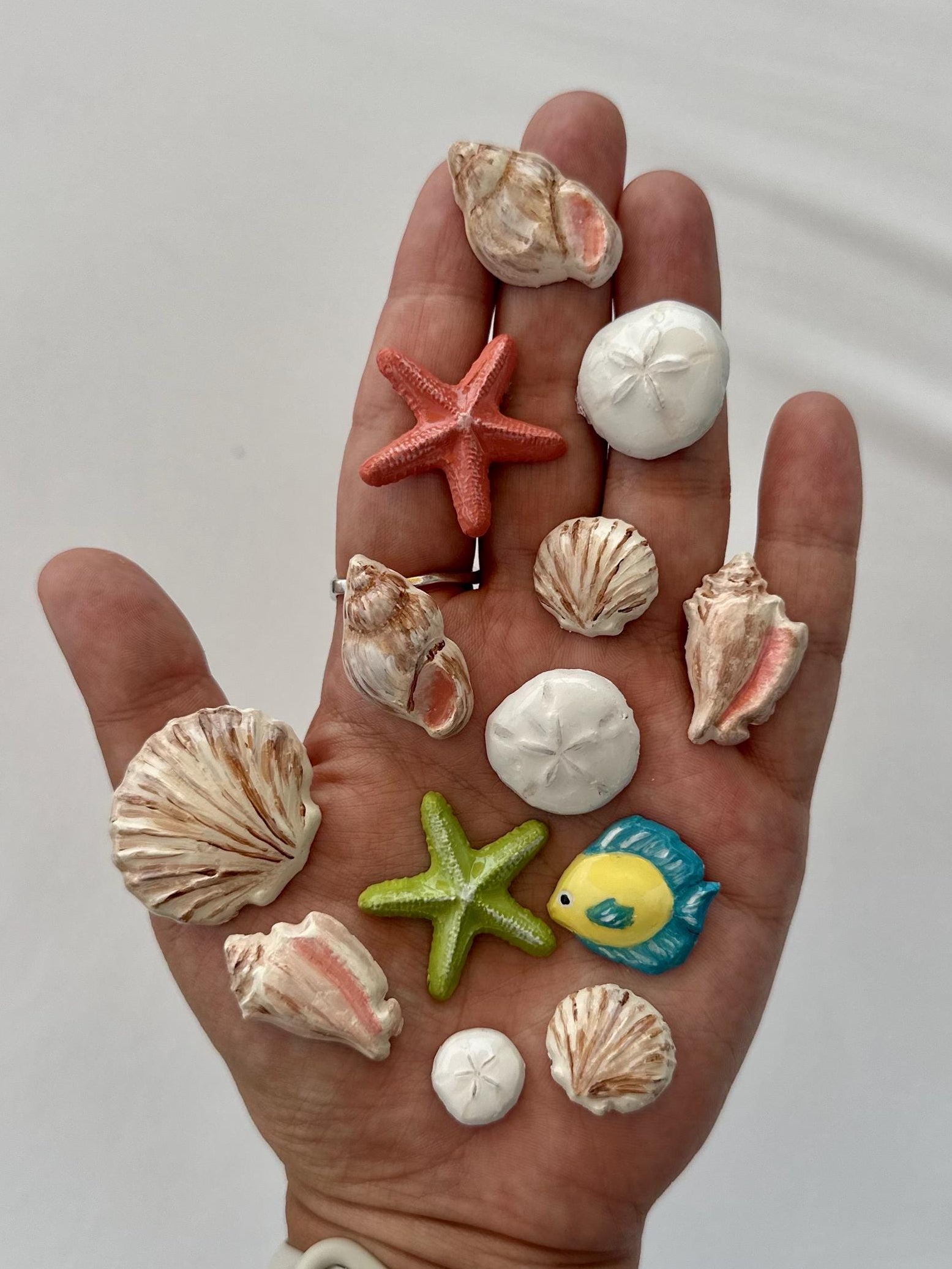 Ocean Magnet Set