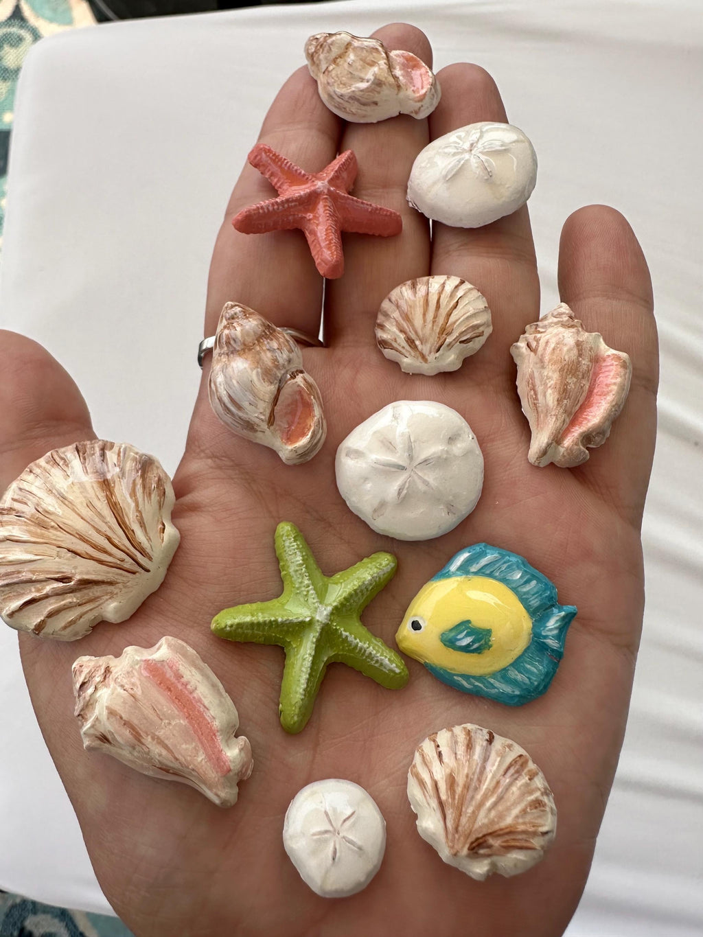 Ocean Magnet Set