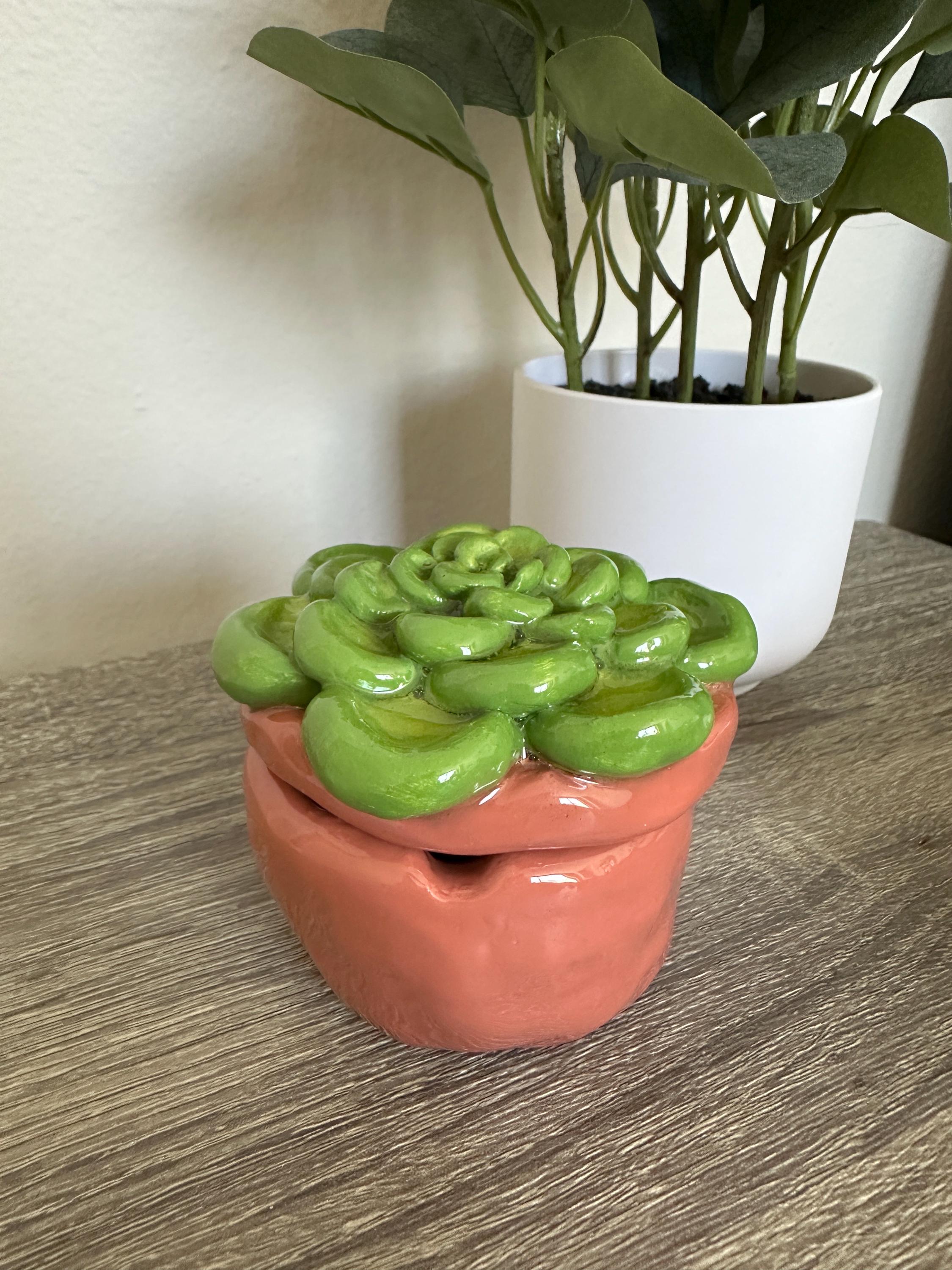 Succulent Ashtray