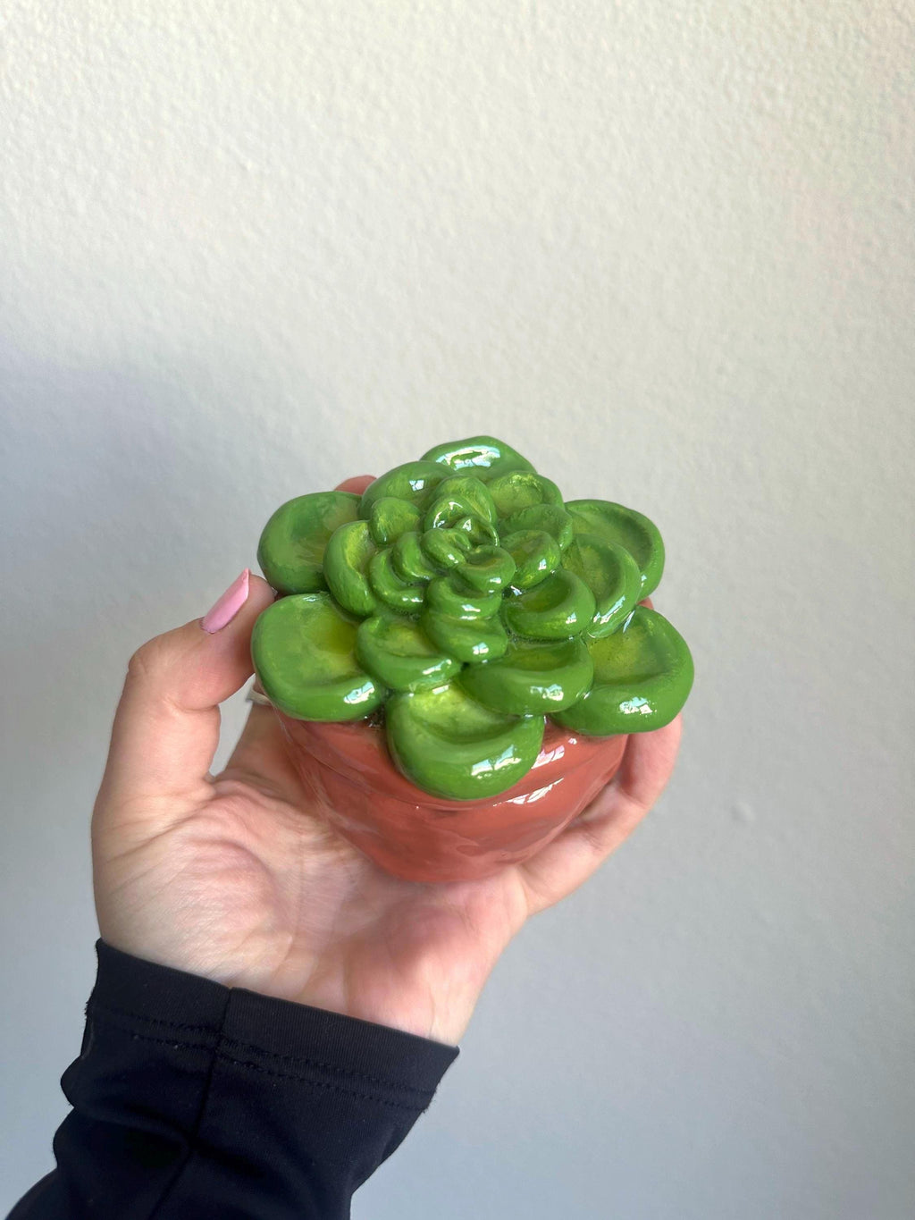 Succulent Ashtray