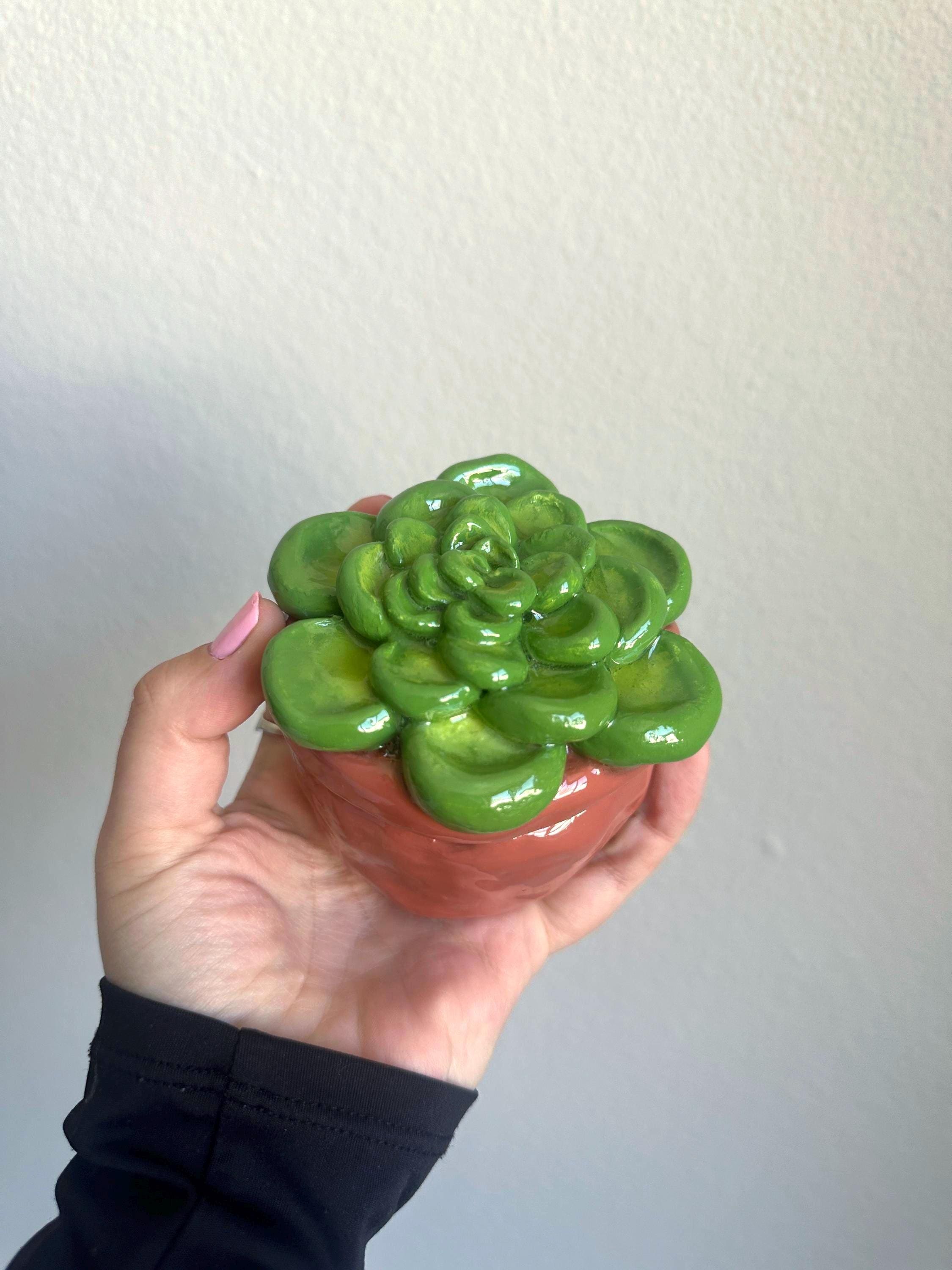 Succulent Ashtray