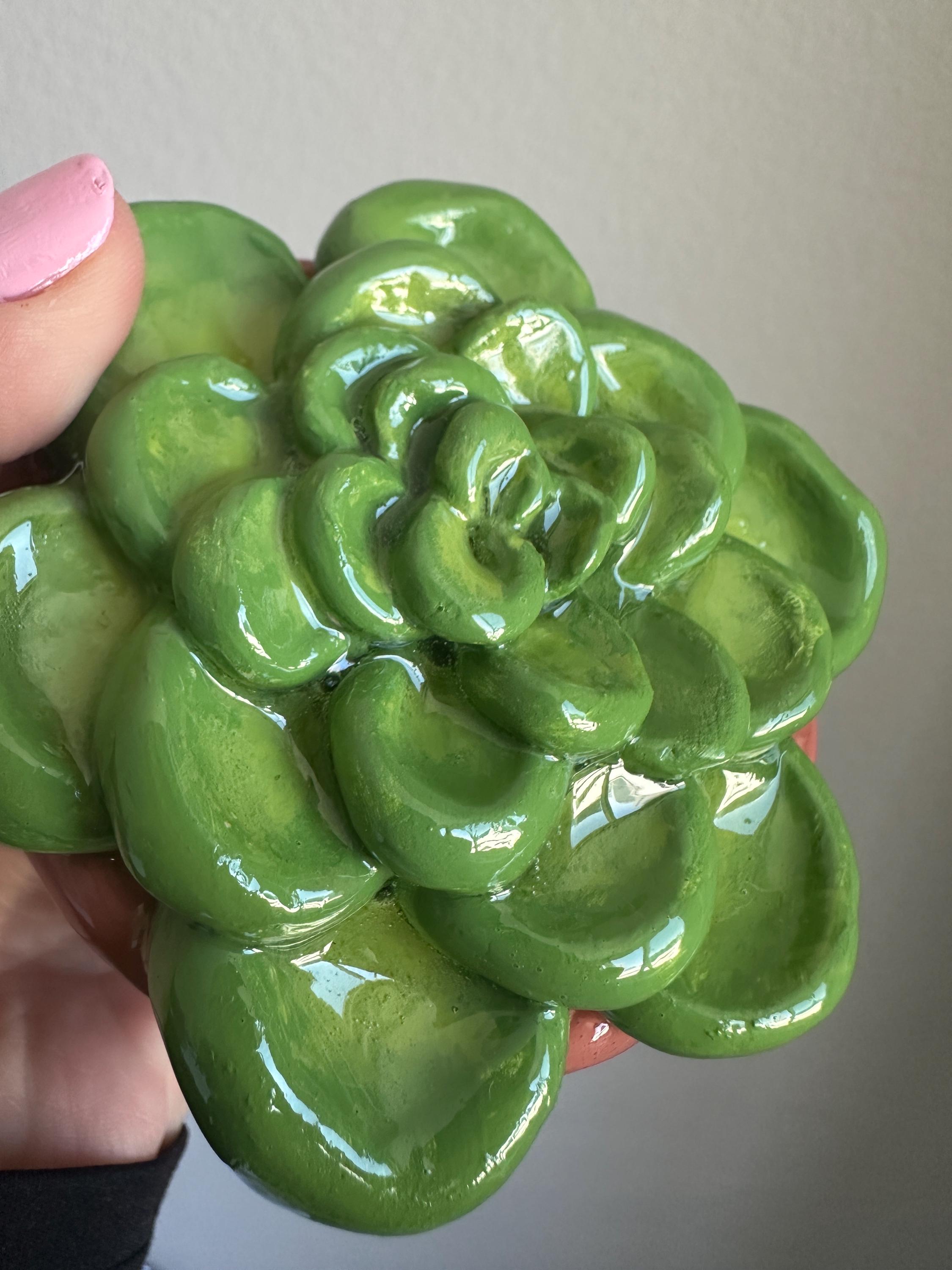 Succulent Ashtray