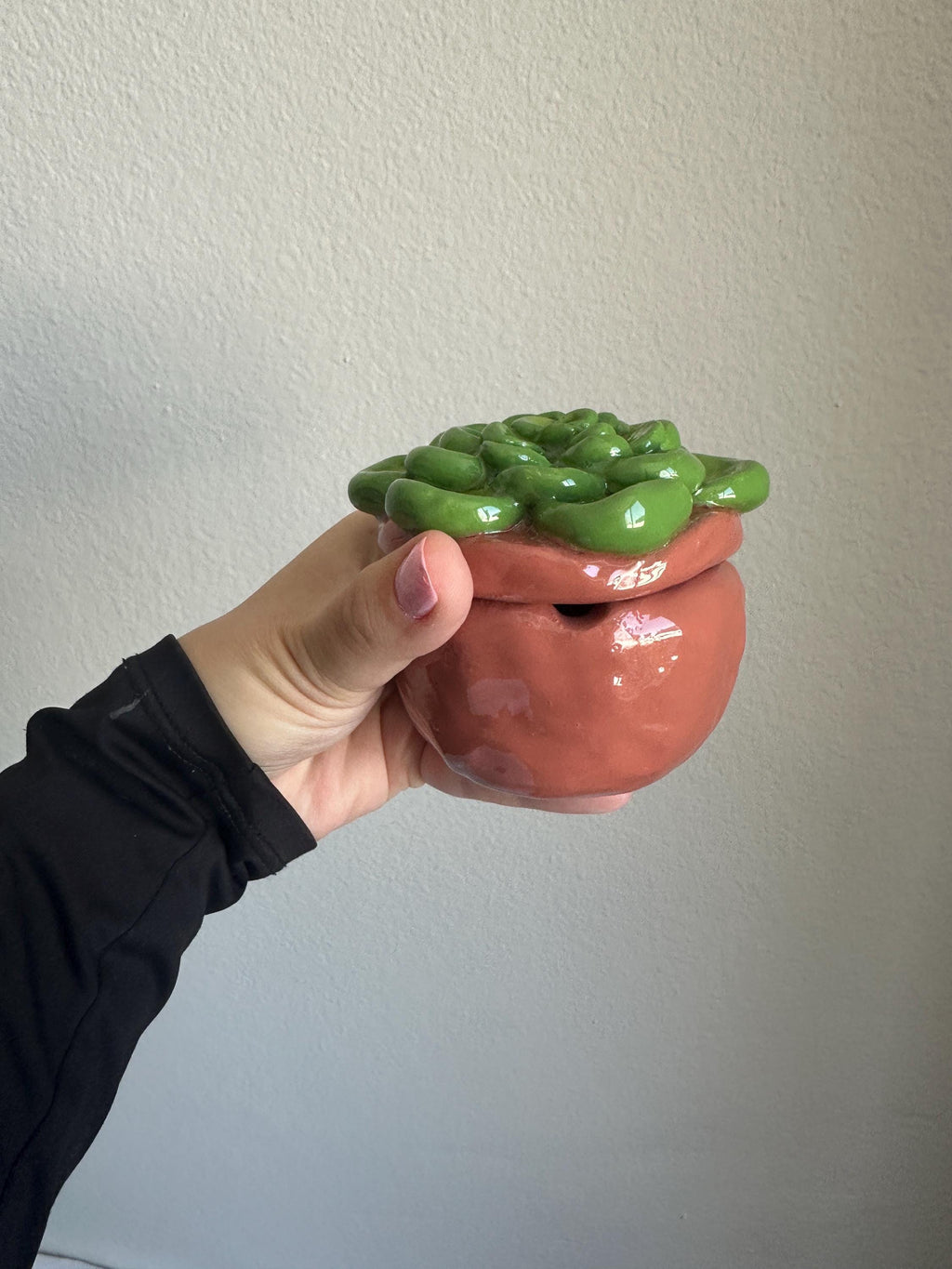 Succulent Ashtray
